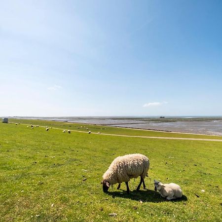 Hotel, Restaurant, Cafe Pharisaeerhof - Nordseeurlaub Mit Hund Nordstrand Exteriér fotografie