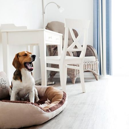 Hotel, Restaurant, Cafe Pharisaeerhof - Nordseeurlaub Mit Hund Nordstrand Exteriér fotografie