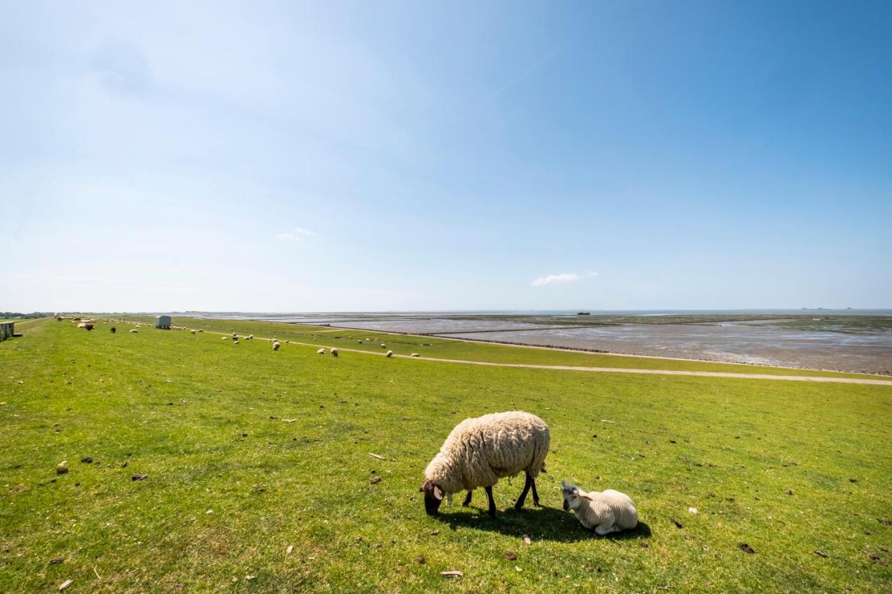 Hotel, Restaurant, Cafe Pharisaeerhof - Nordseeurlaub Mit Hund Nordstrand Exteriér fotografie
