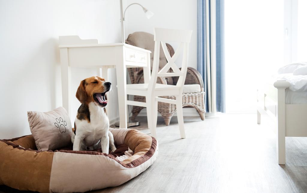 Hotel, Restaurant, Cafe Pharisaeerhof - Nordseeurlaub Mit Hund Nordstrand Exteriér fotografie