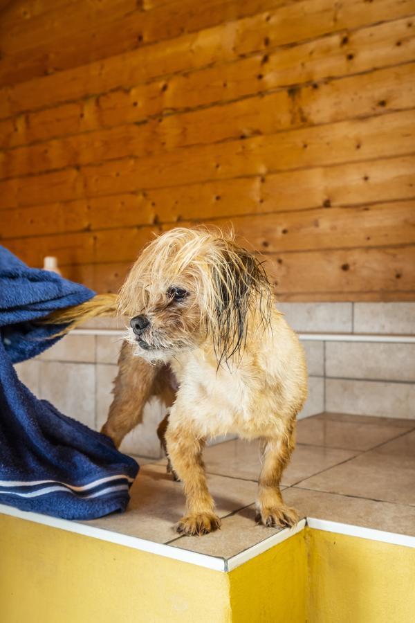 Hotel, Restaurant, Cafe Pharisaeerhof - Nordseeurlaub Mit Hund Nordstrand Exteriér fotografie